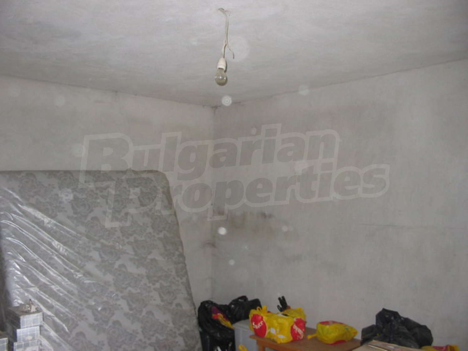 Gallery Picture 7