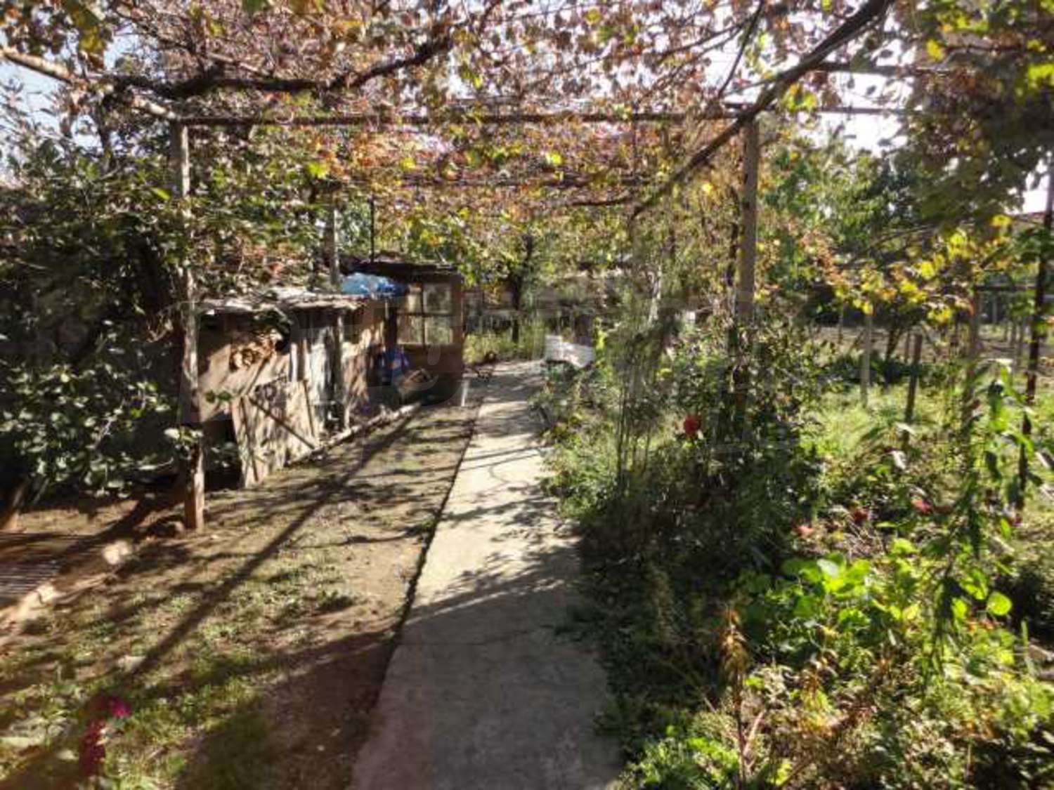 Gallery Picture 18
