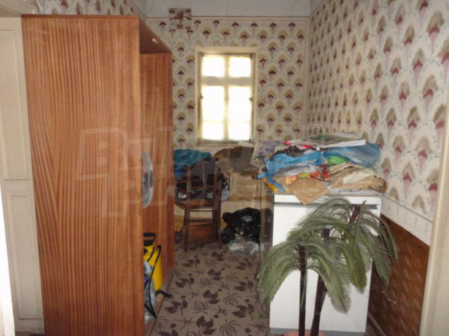 Gallery Picture 8