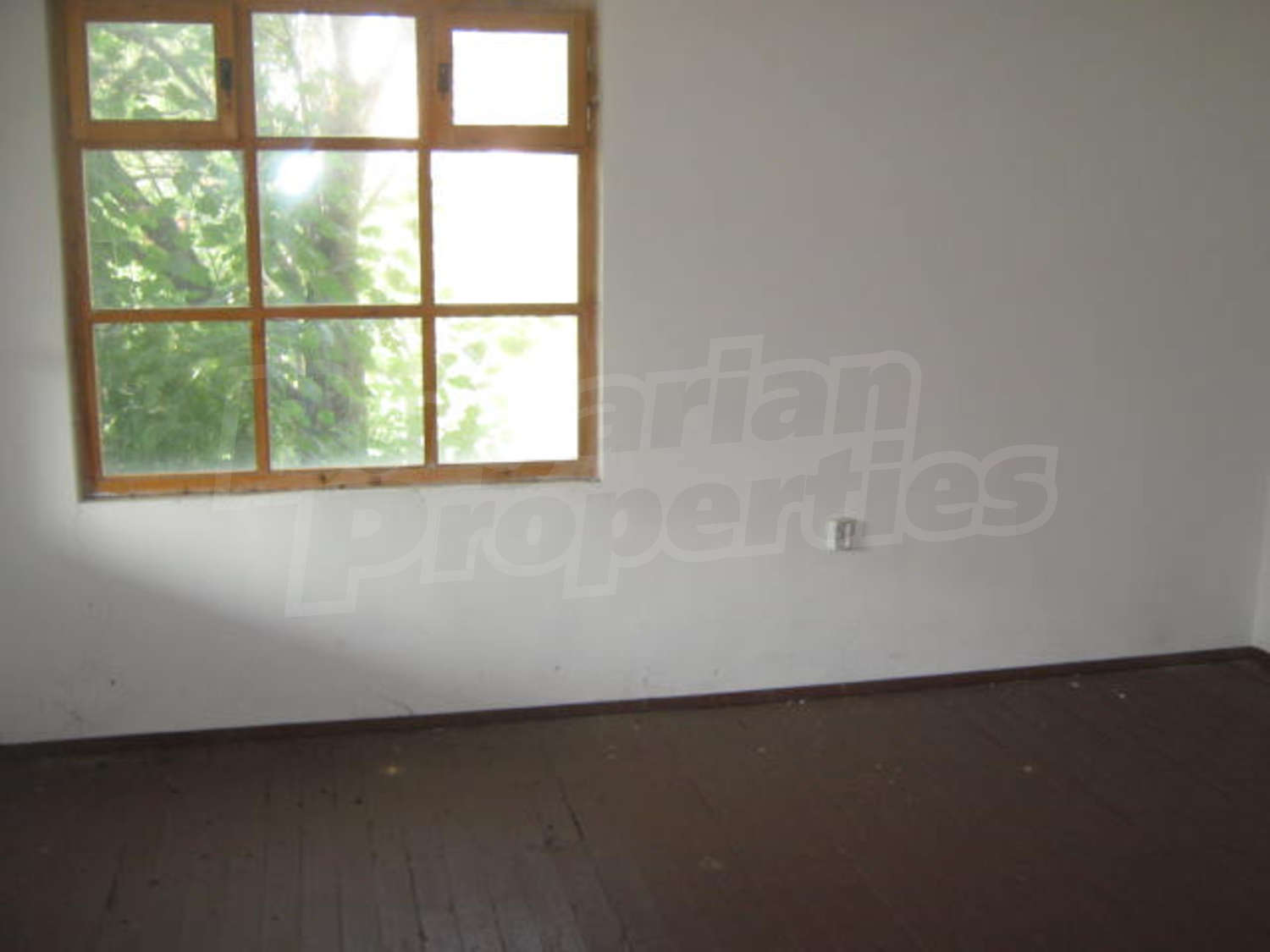 Gallery Picture 6