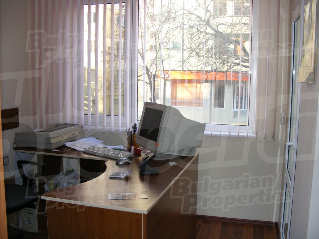 Gallery Picture 11