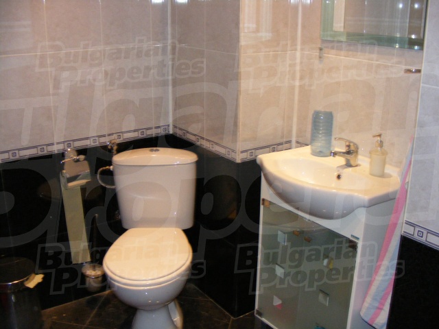Gallery Picture 13