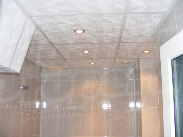 Gallery Picture 14