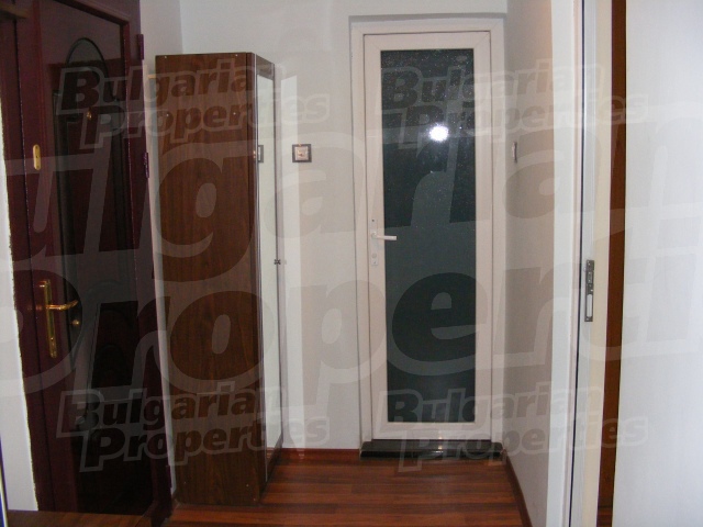 Gallery Picture 5