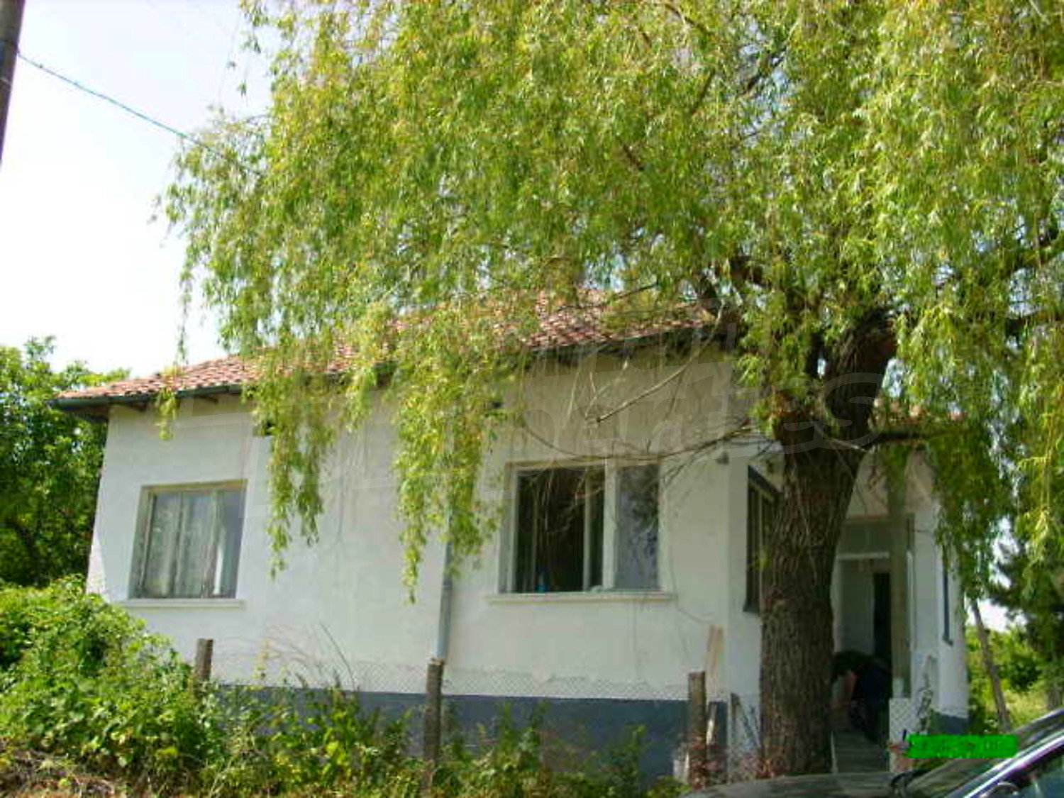 Gallery Picture 15