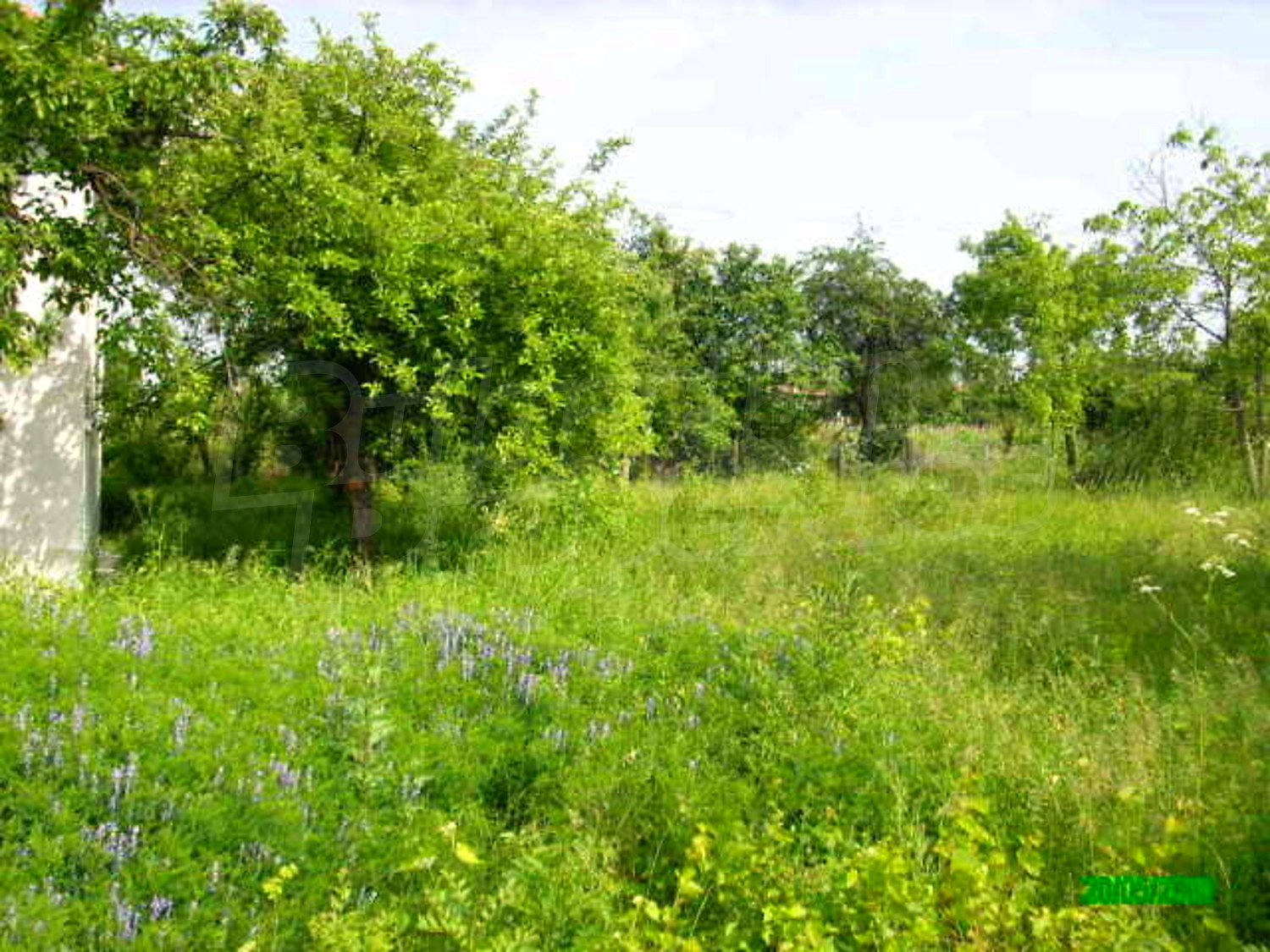 Gallery Picture 16