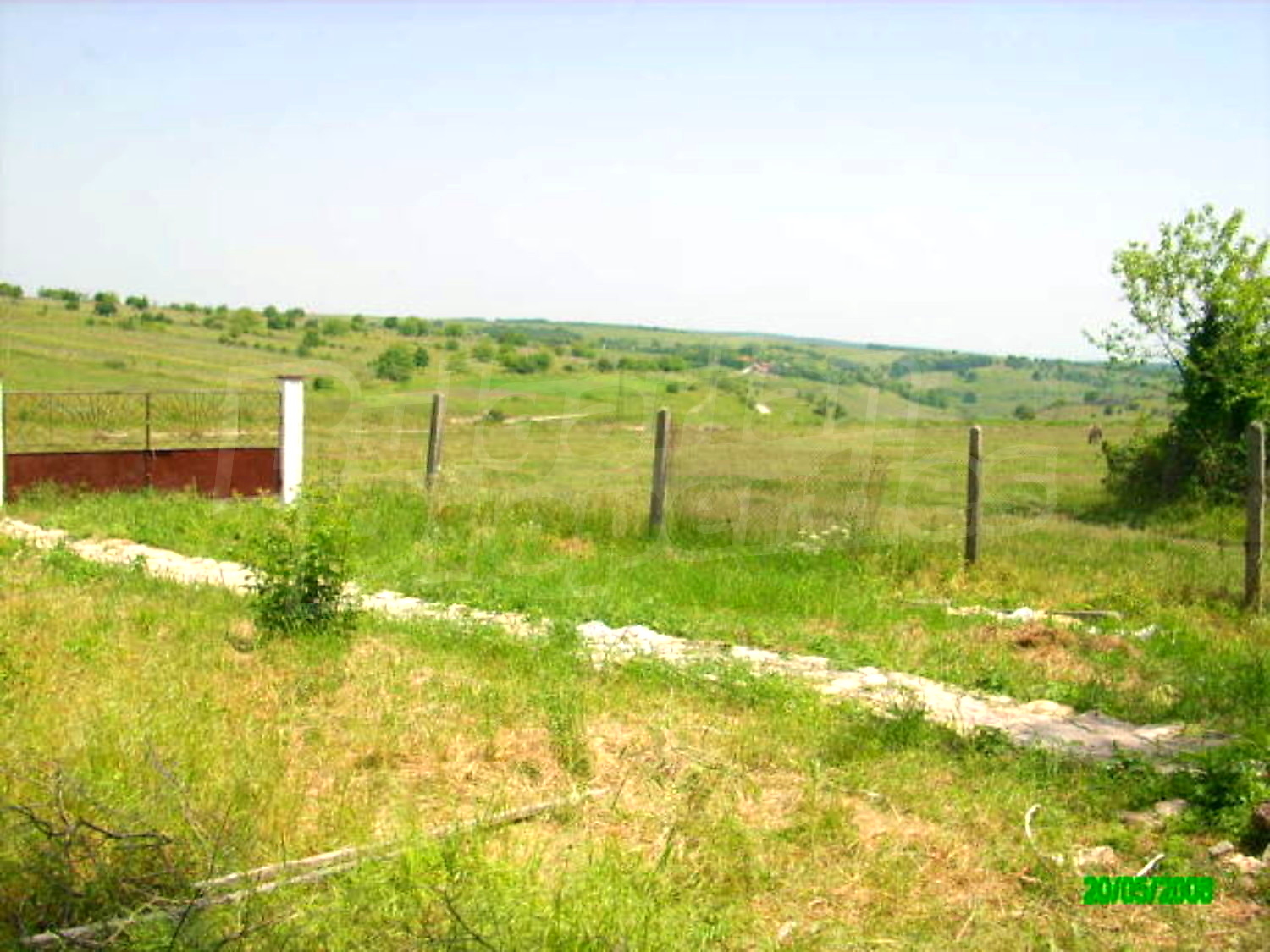 Gallery Picture 17
