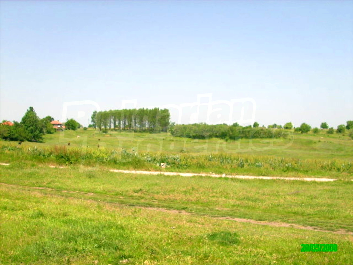 Gallery Picture 19