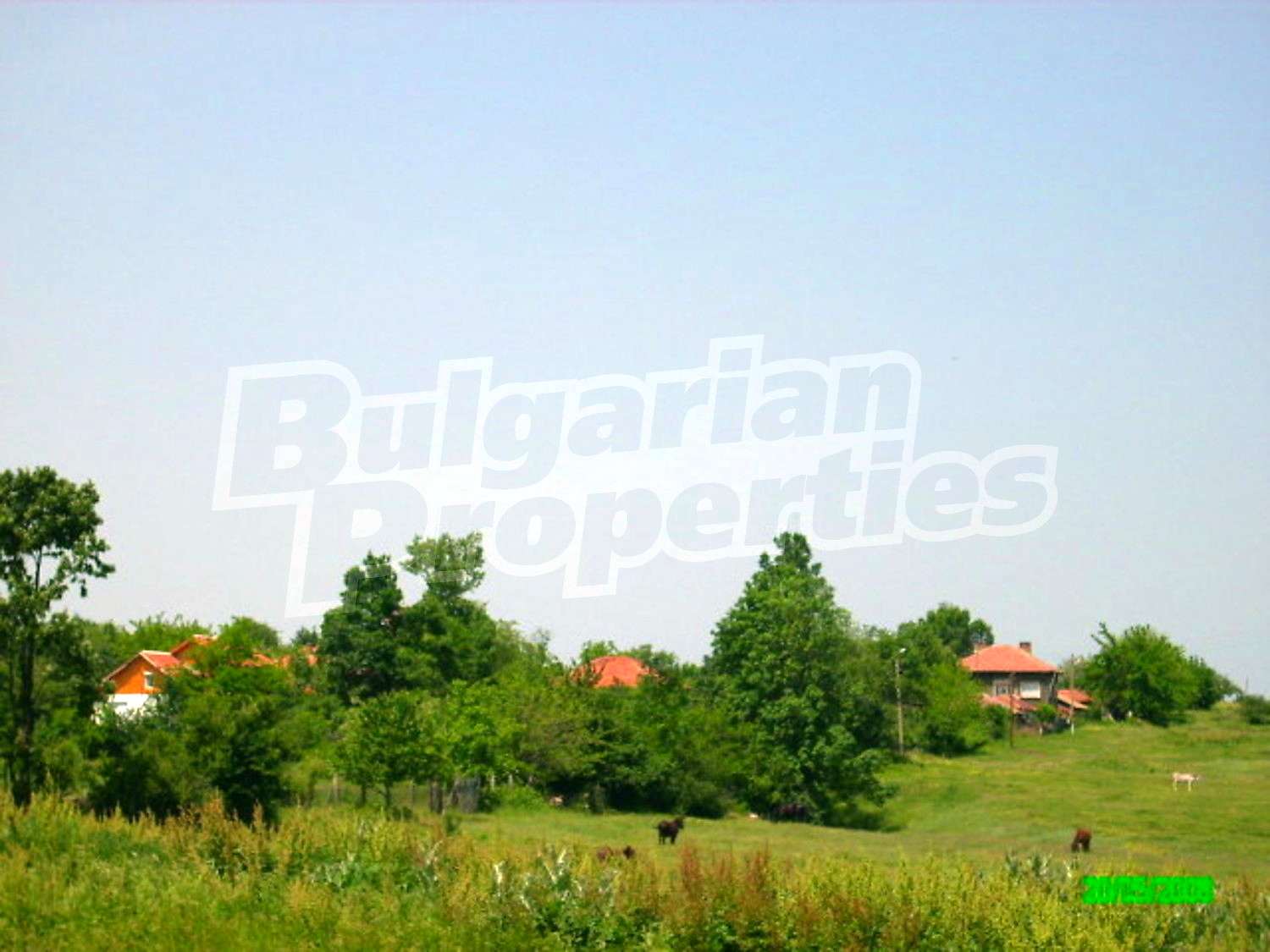 Gallery Picture 21