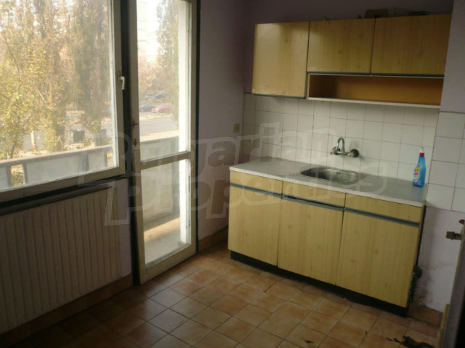 Gallery Picture 5