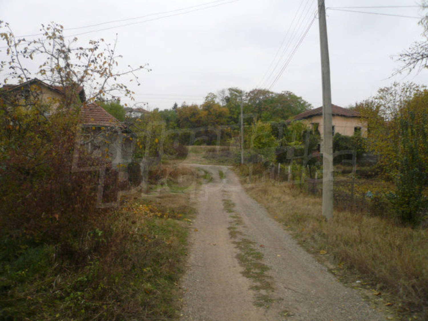 Gallery Picture 10