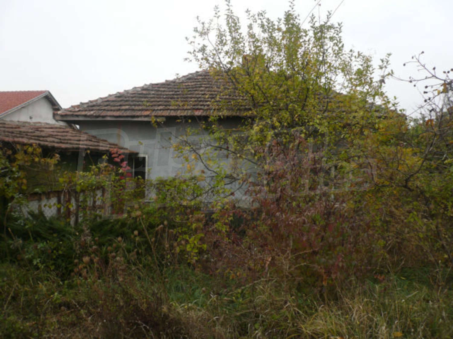 Gallery Picture 11