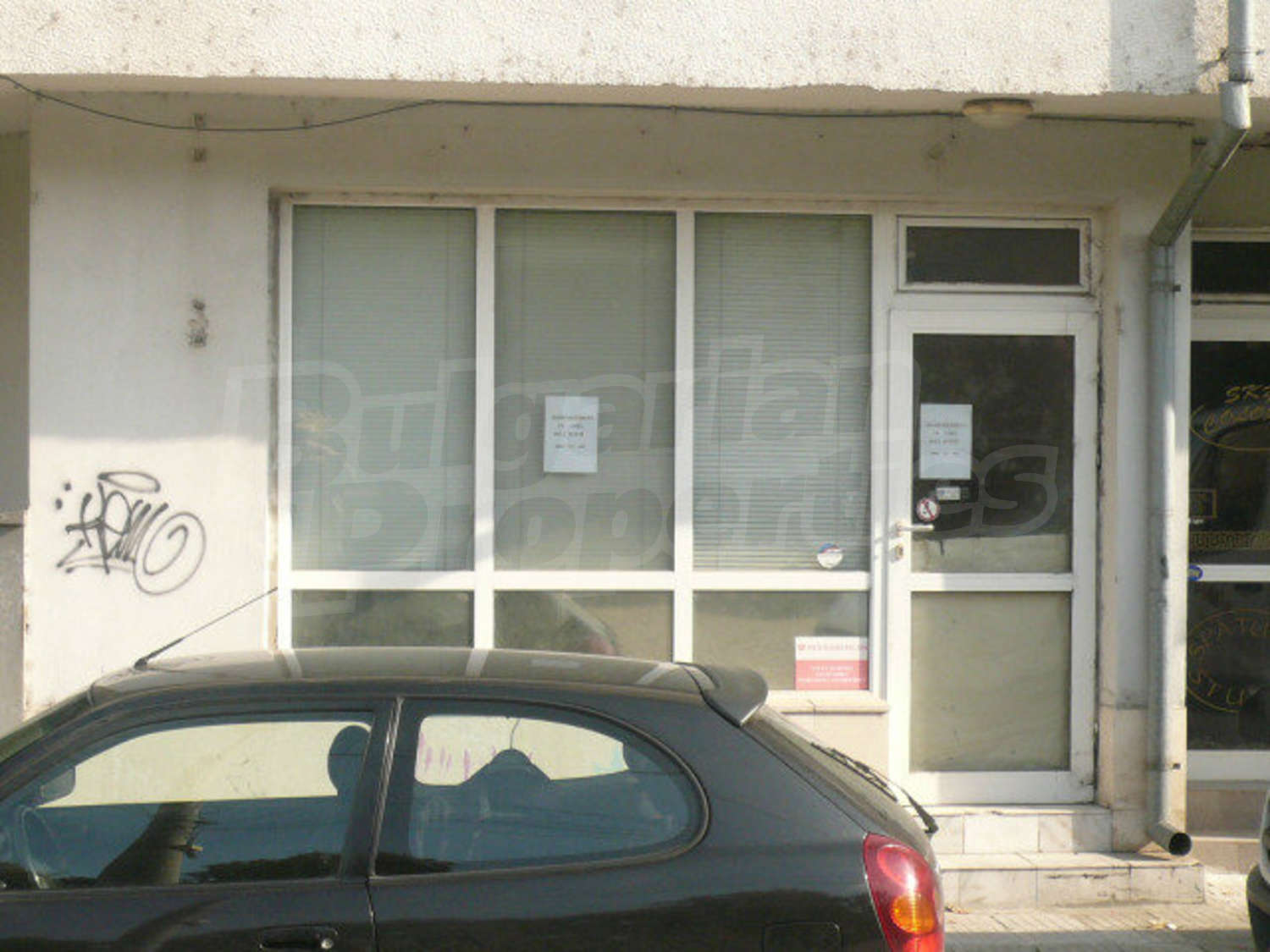 Gallery Picture 12
