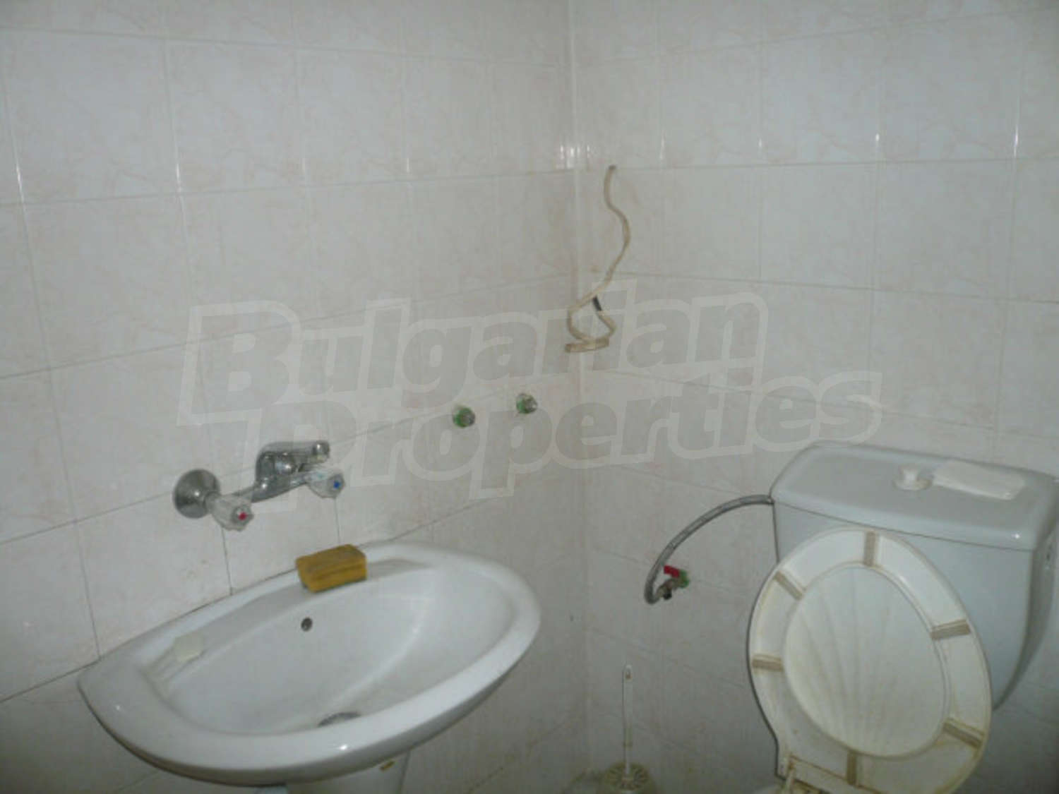 Gallery Picture 5