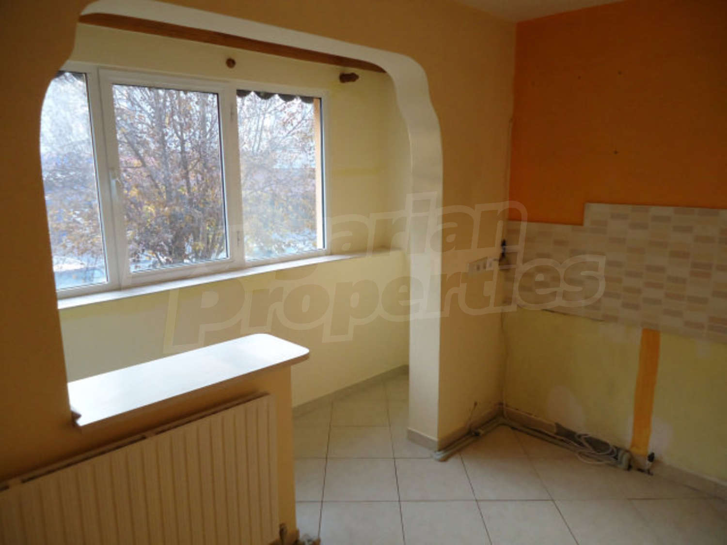 Gallery Picture 17