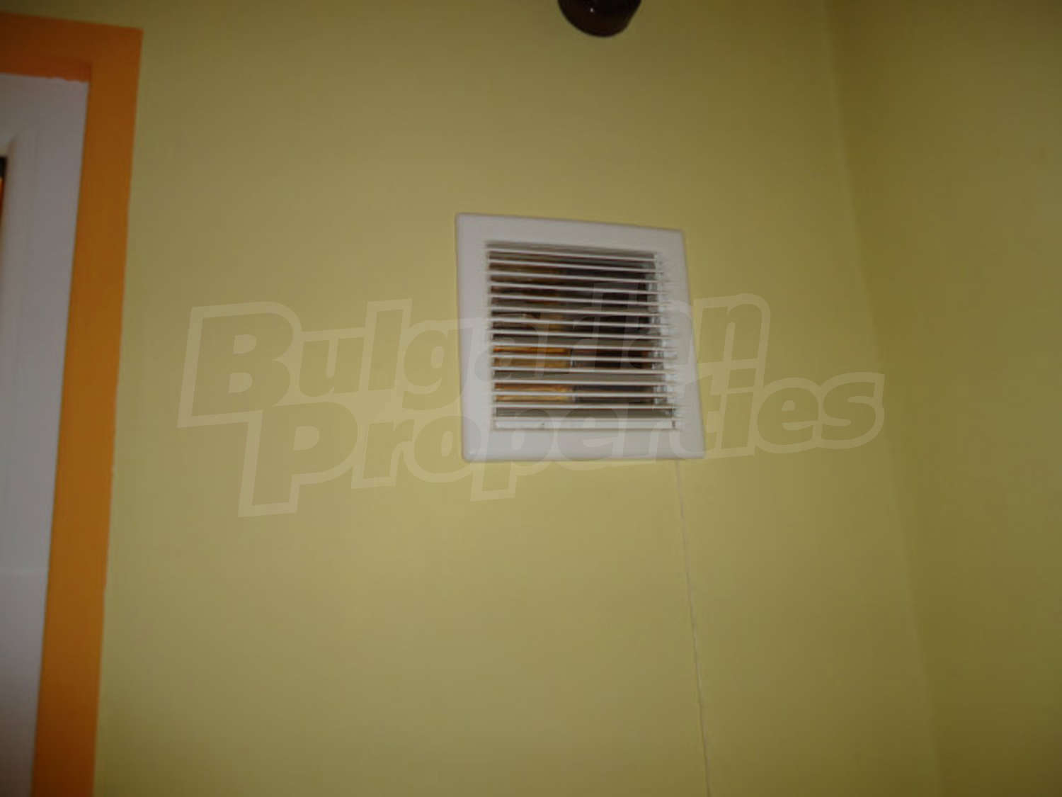 Gallery Picture 9