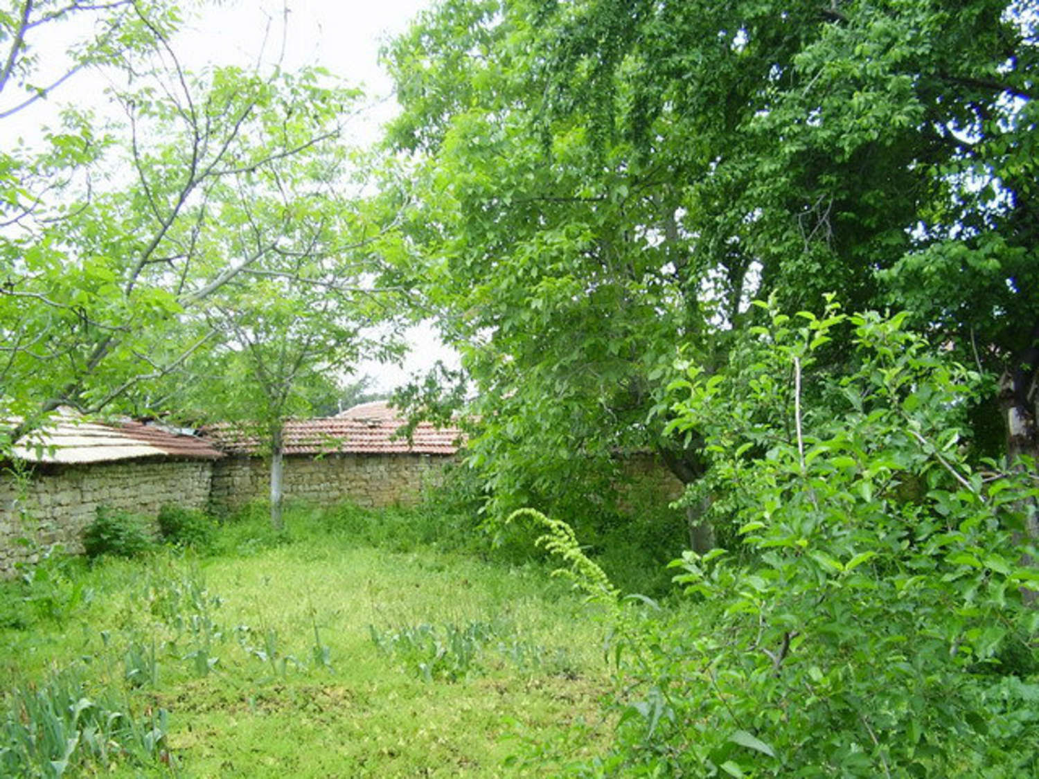 Gallery Picture 11