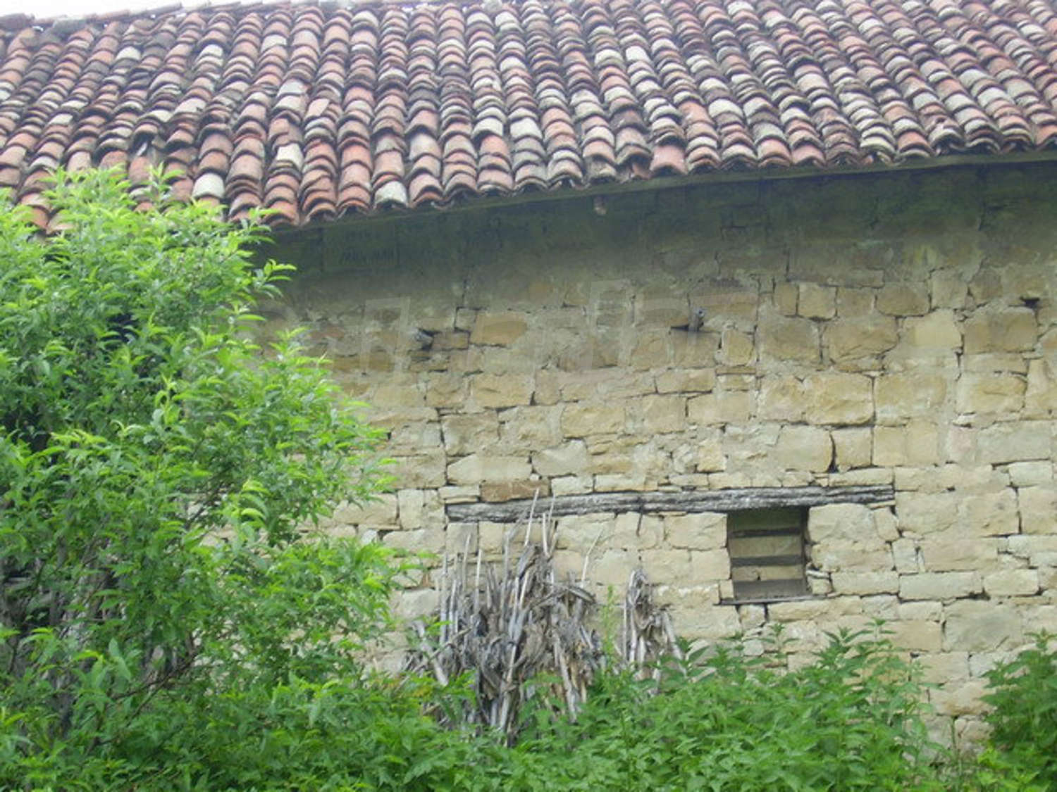 Gallery Picture 12
