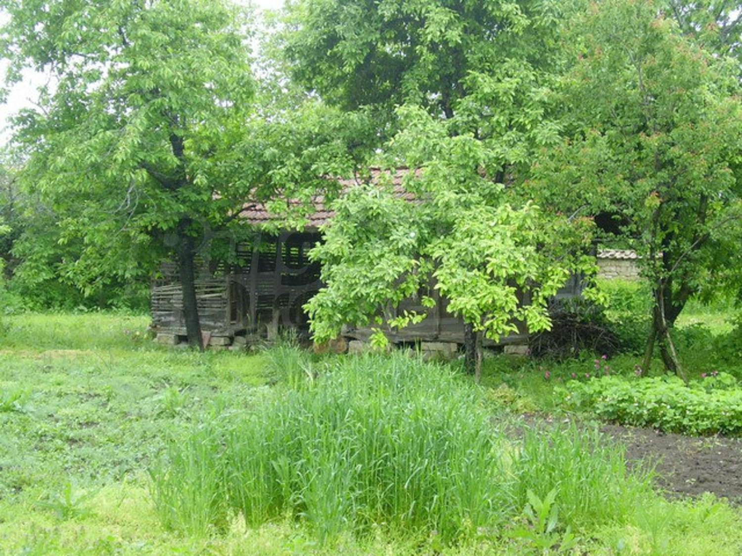Gallery Picture 13