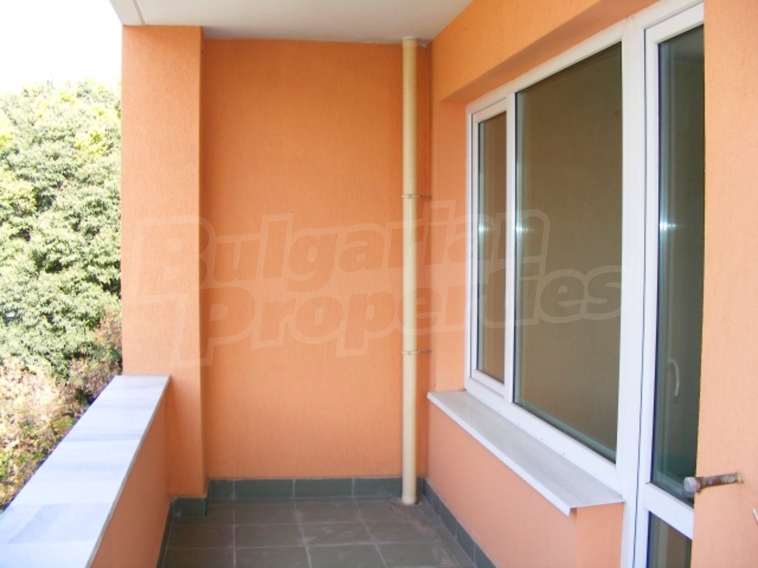 Gallery Picture 12