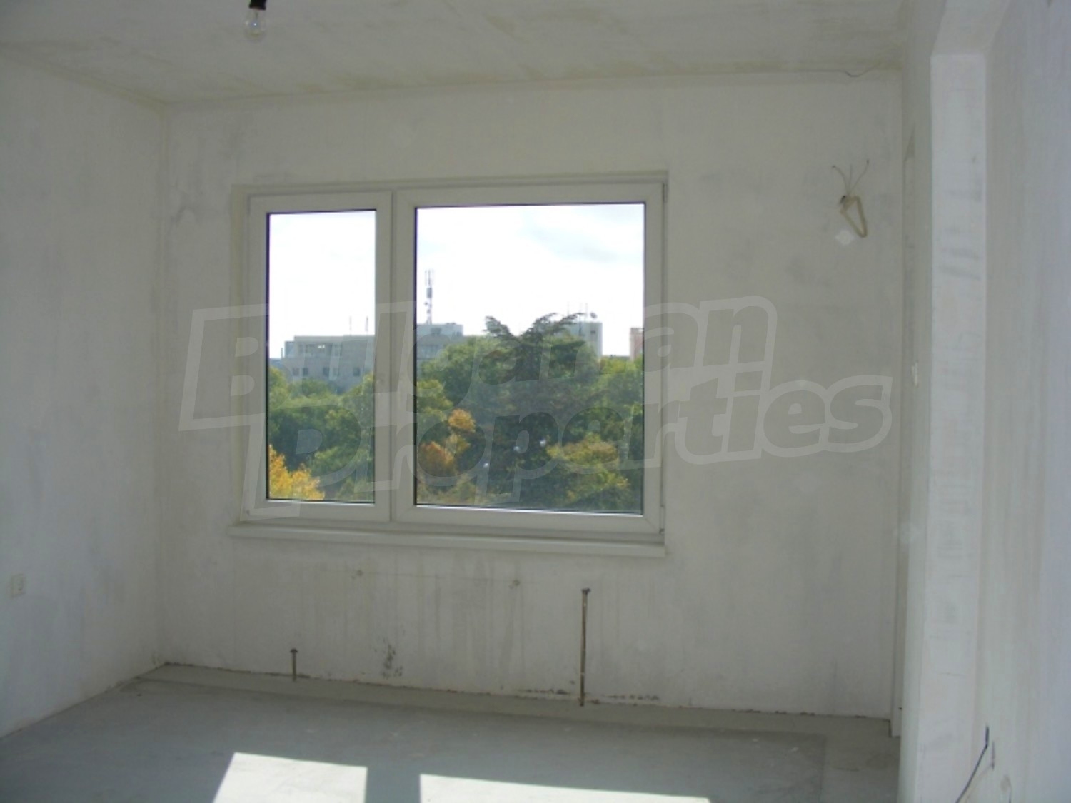 Gallery Picture 14