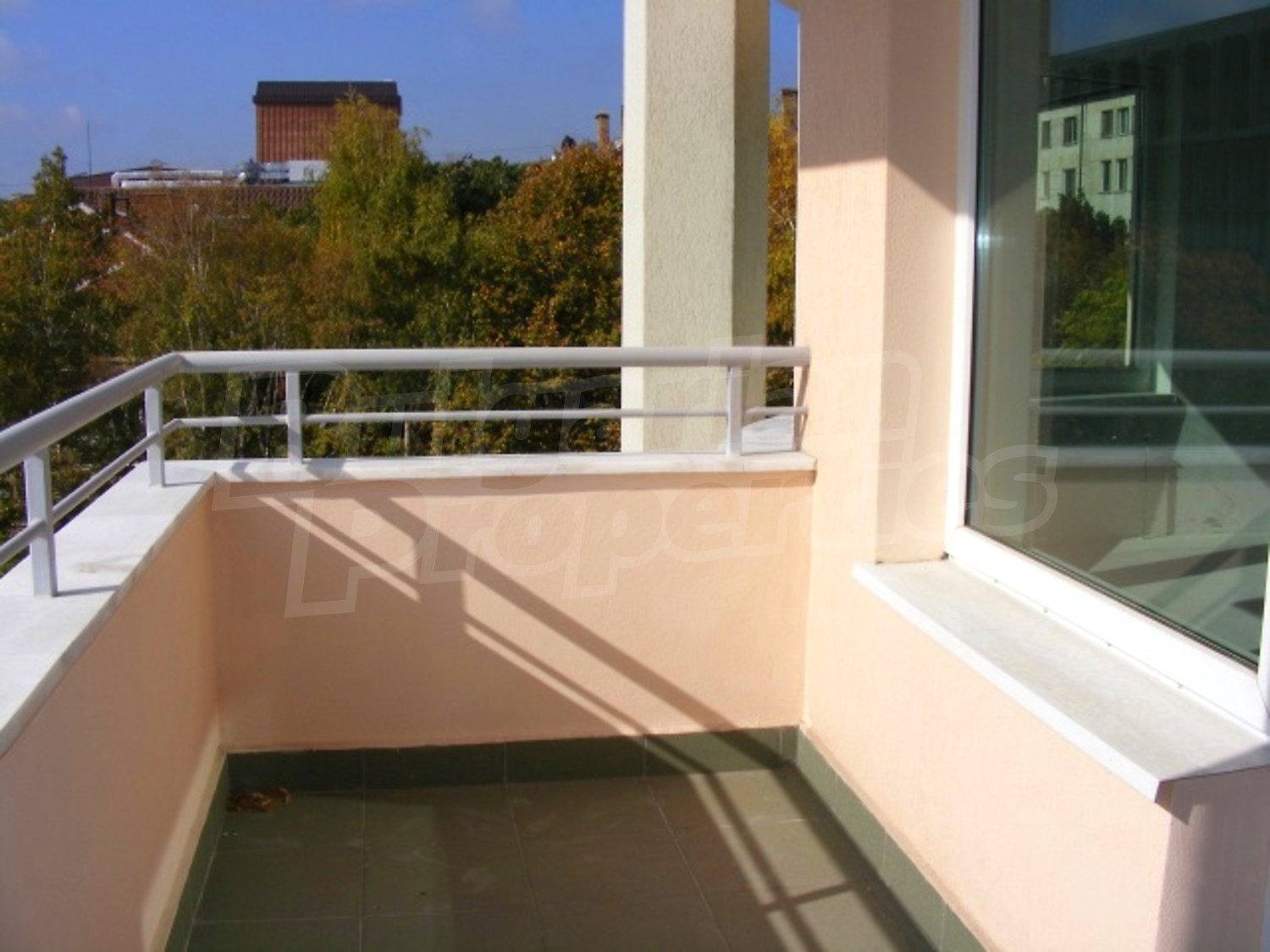 Gallery Picture 17