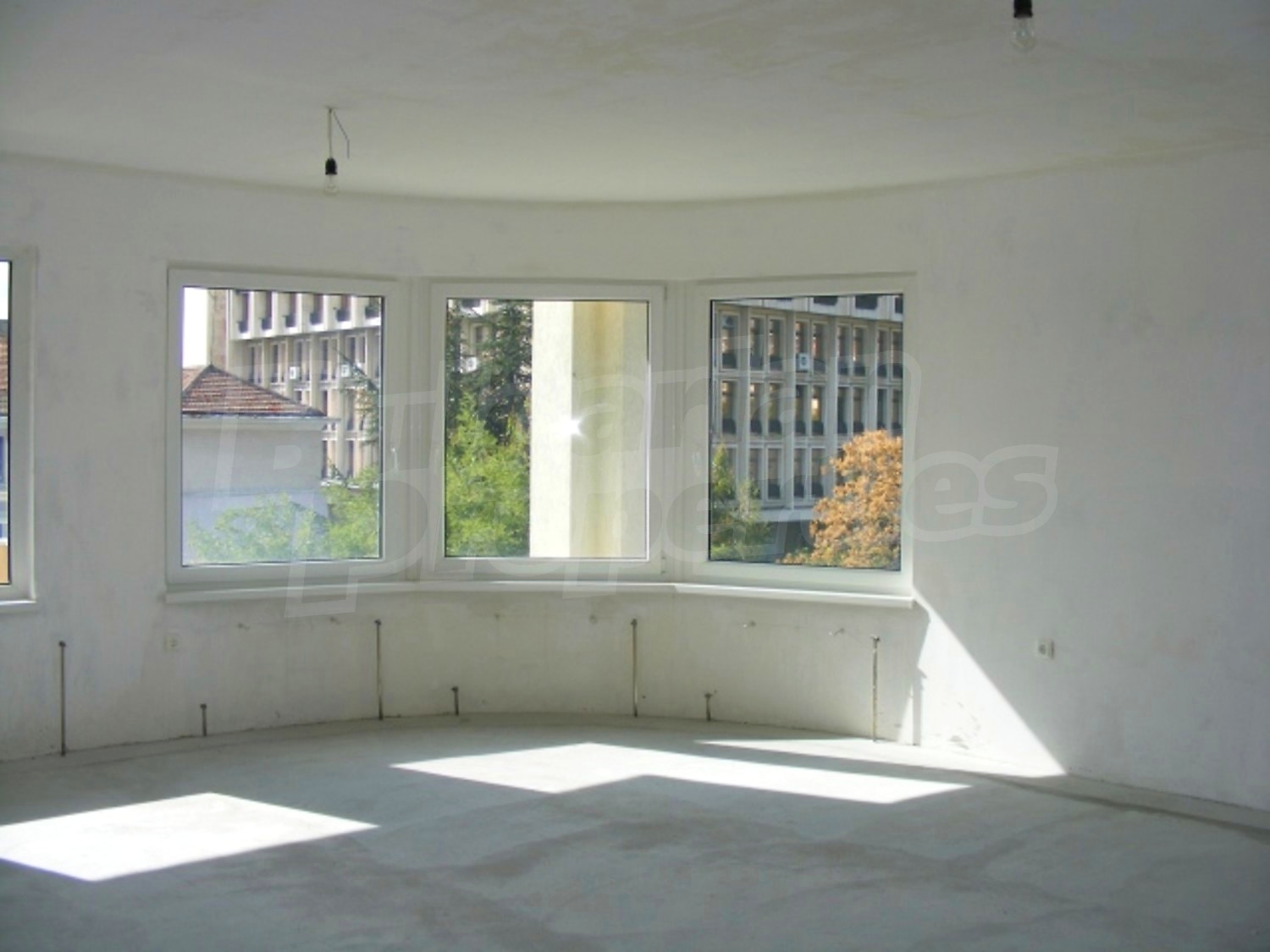 Gallery Picture 6