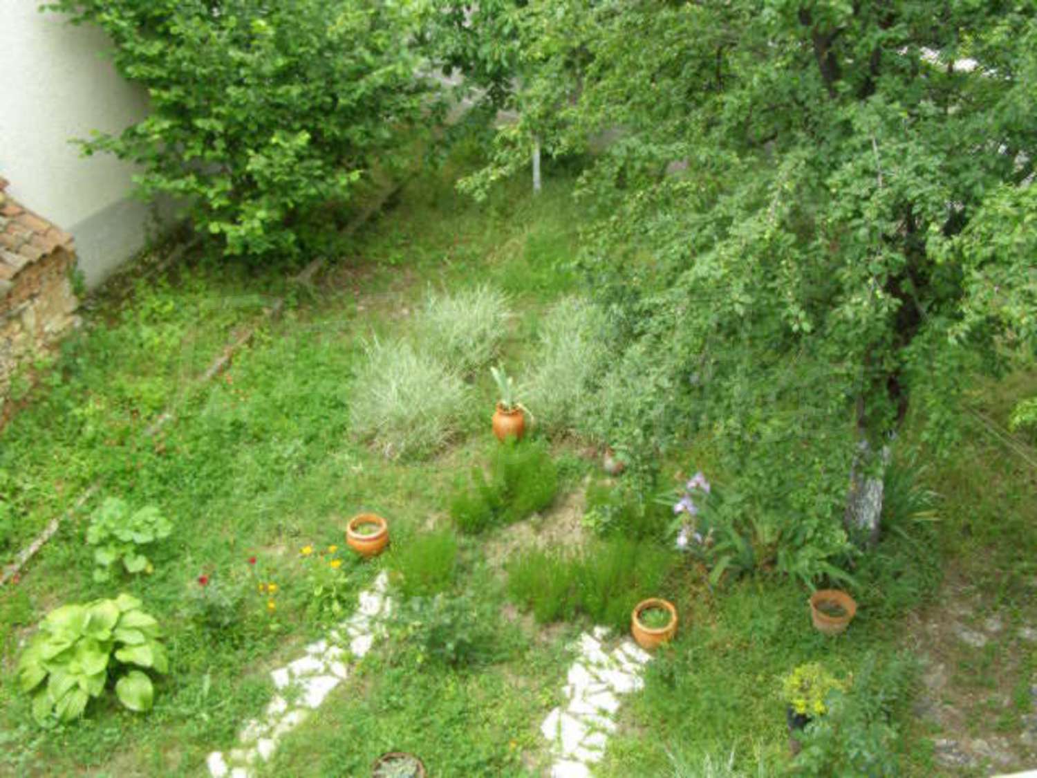 Gallery Picture 24
