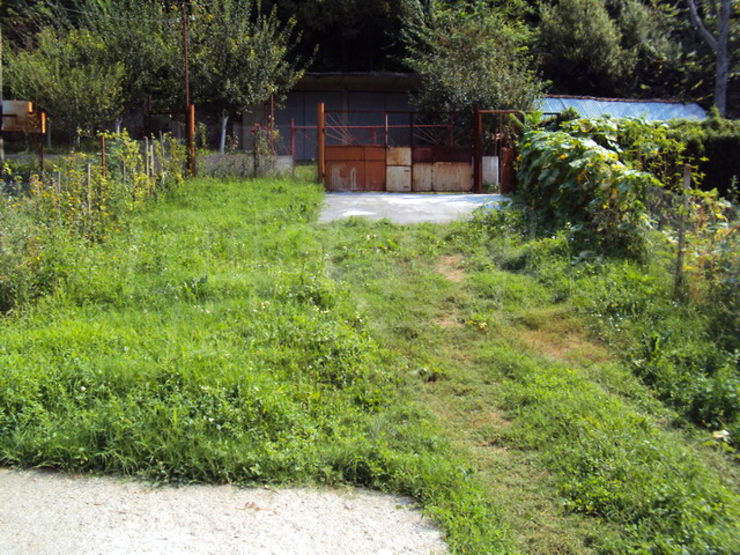 Gallery Picture 19
