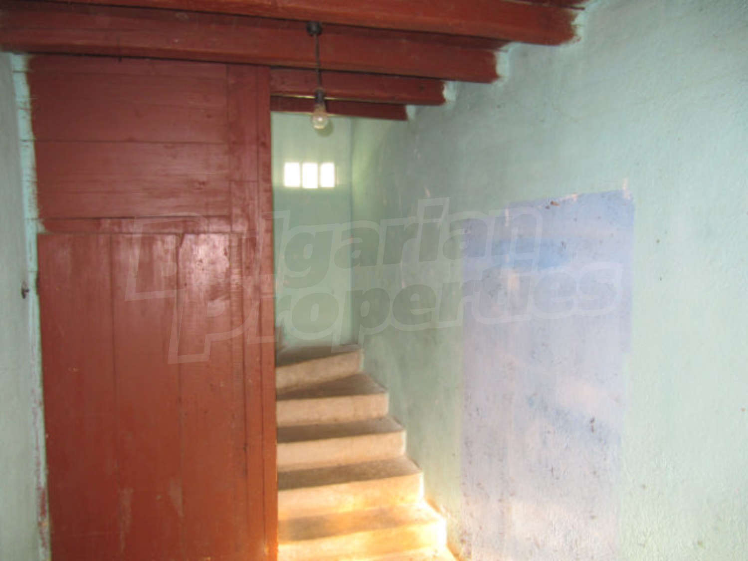 Gallery Picture 12