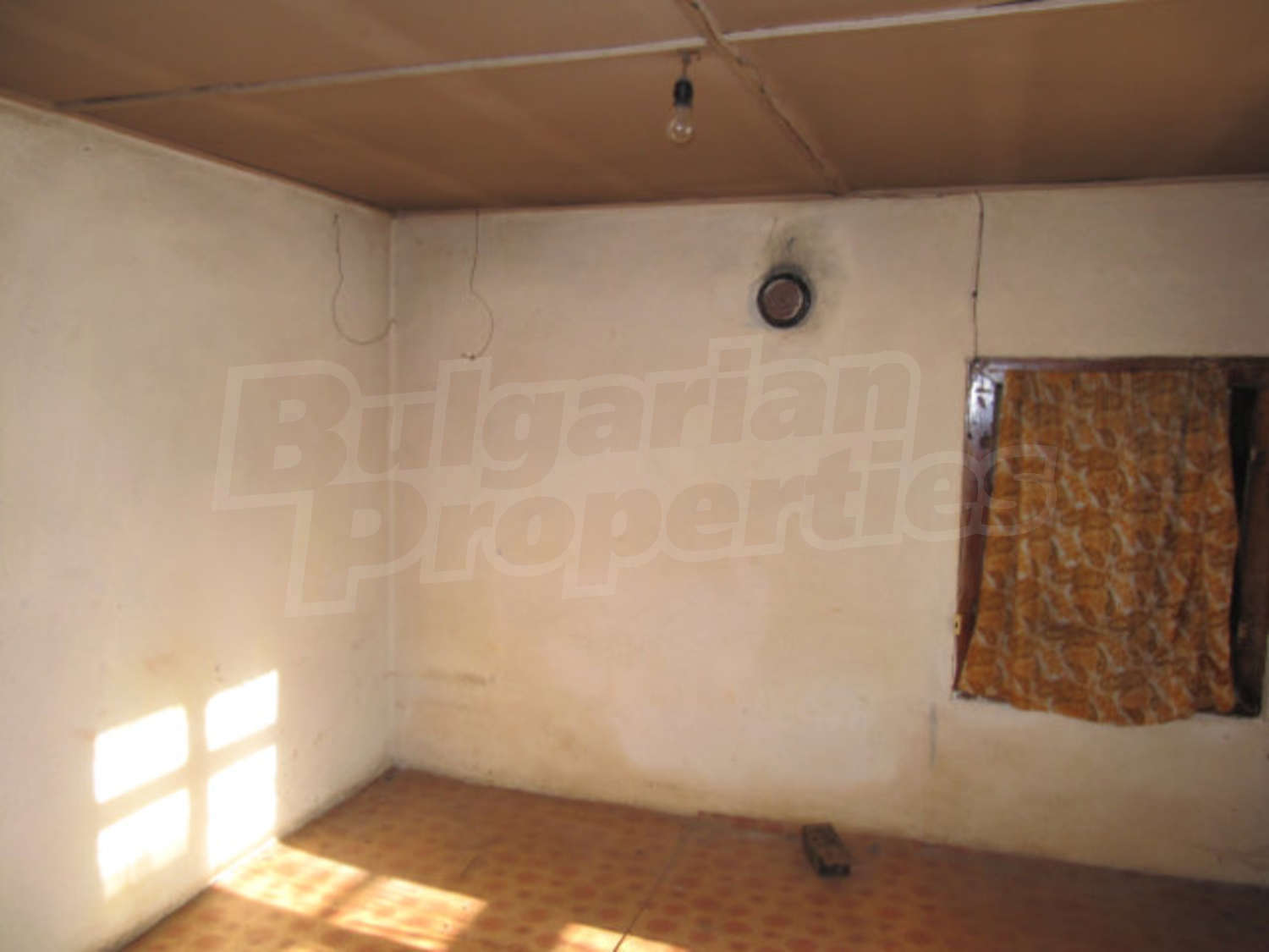Gallery Picture 13