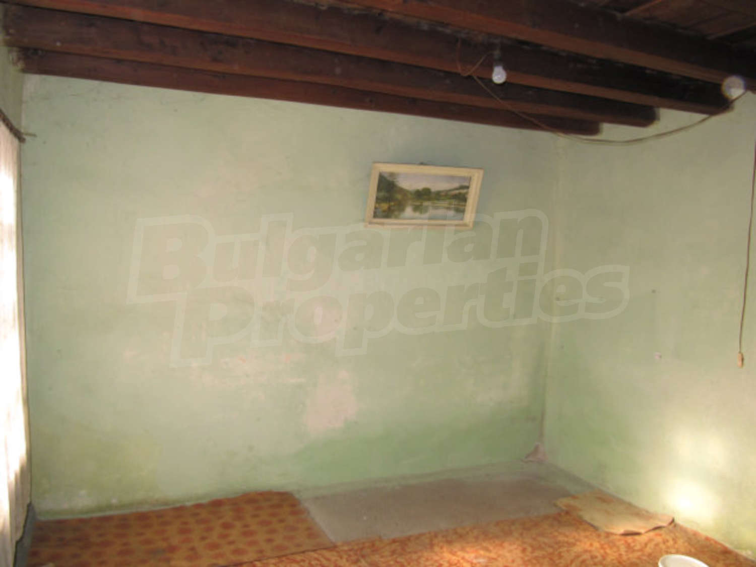Gallery Picture 14