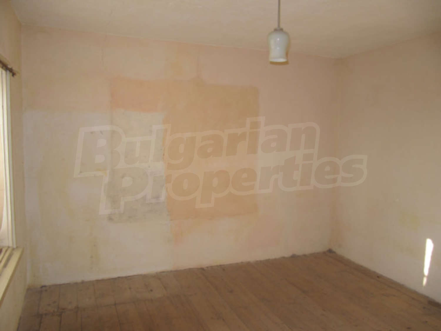 Gallery Picture 21