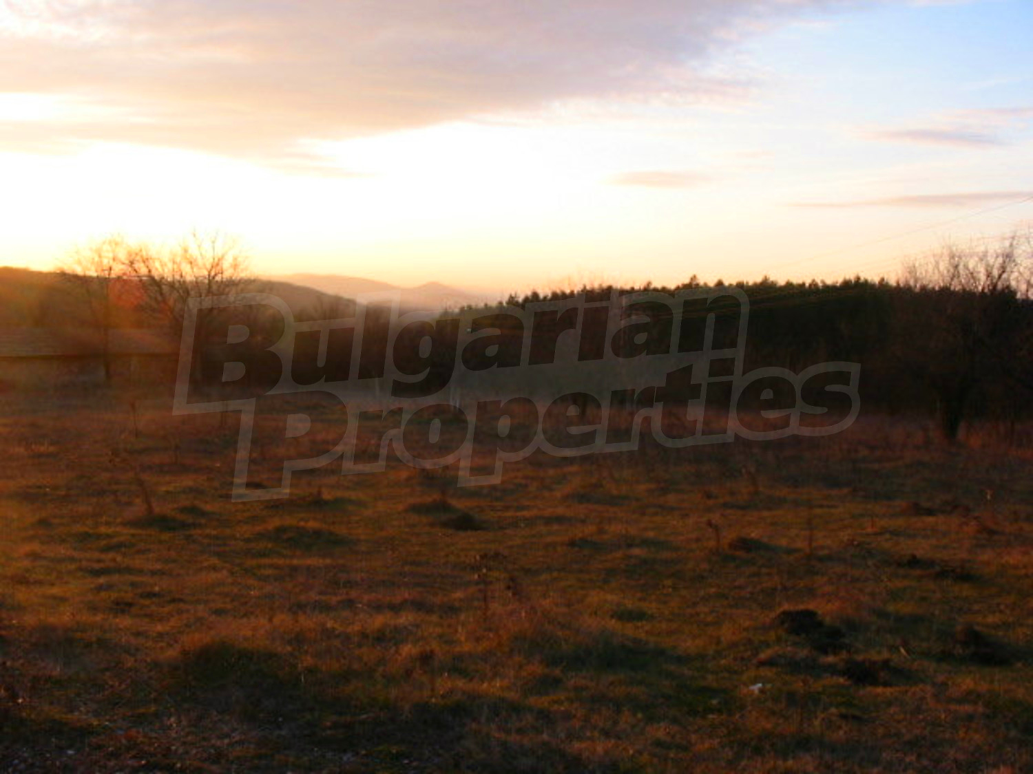 Gallery Picture 10