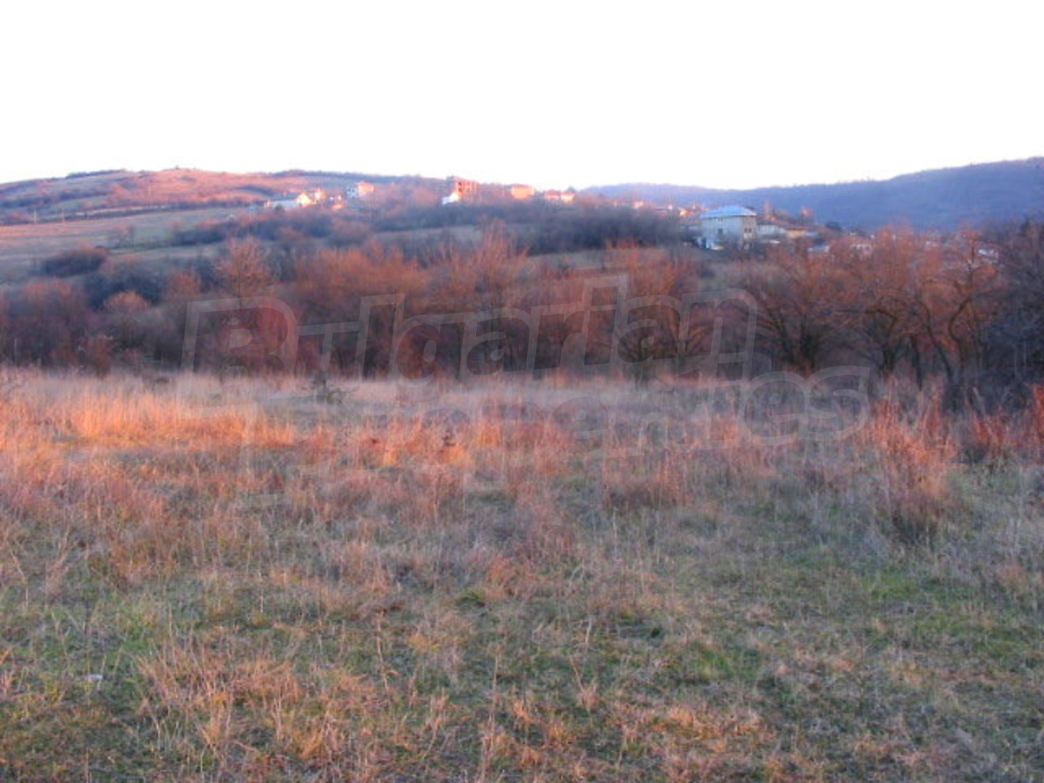 Gallery Picture 11