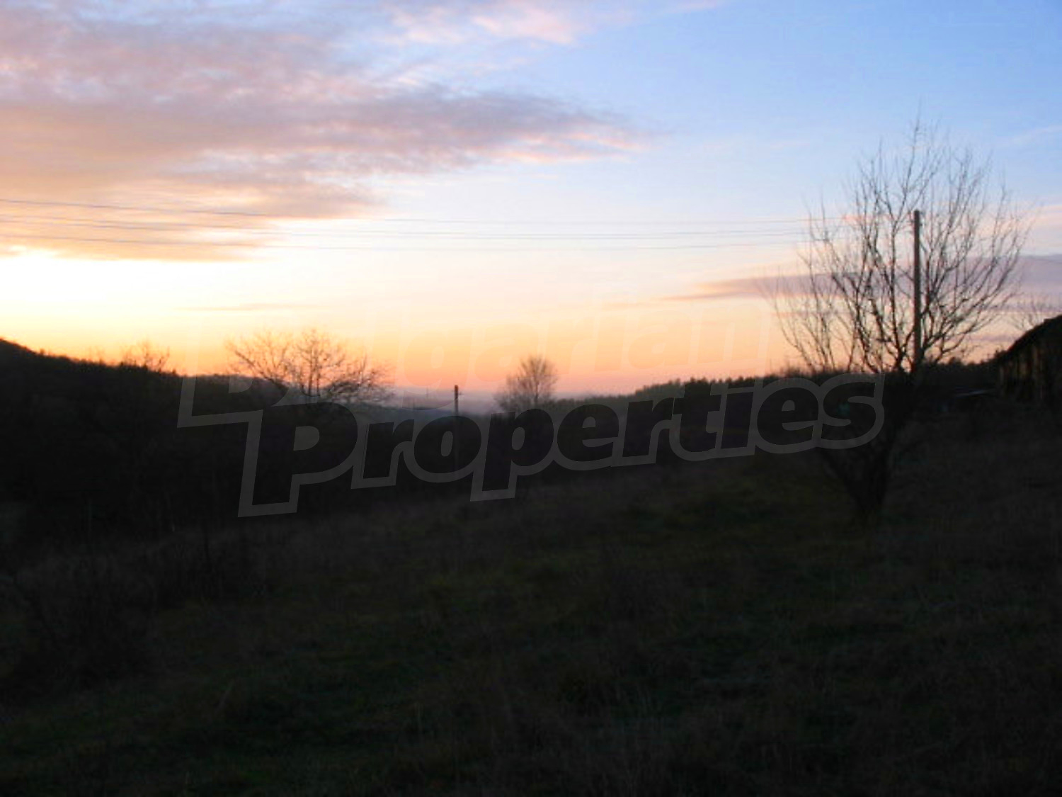 Gallery Picture 13