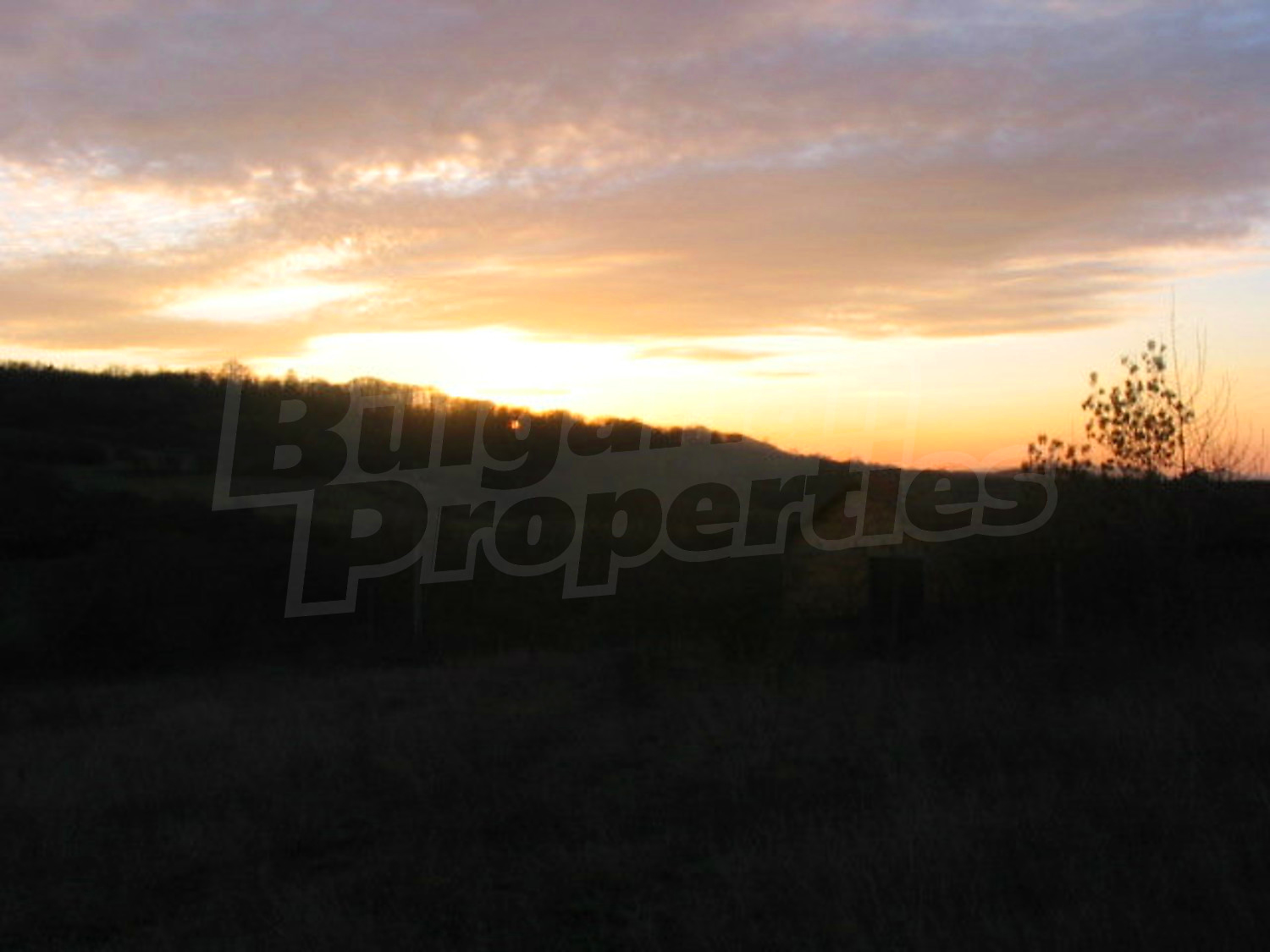 Gallery Picture 22