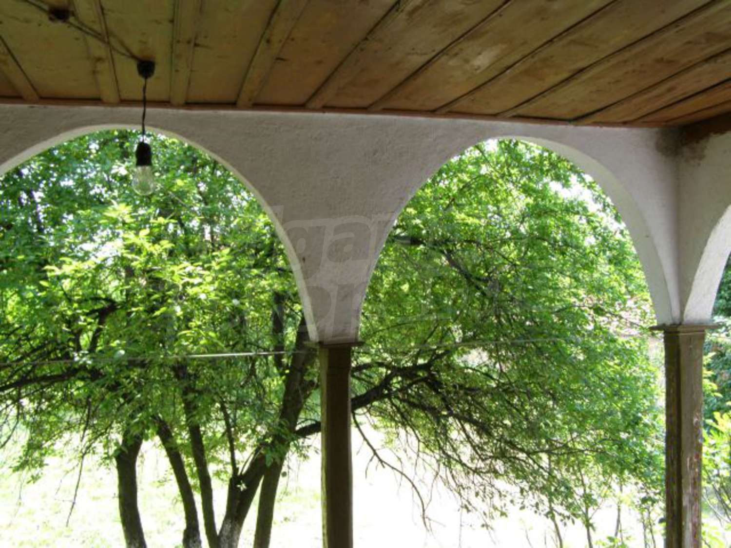 Gallery Picture 10