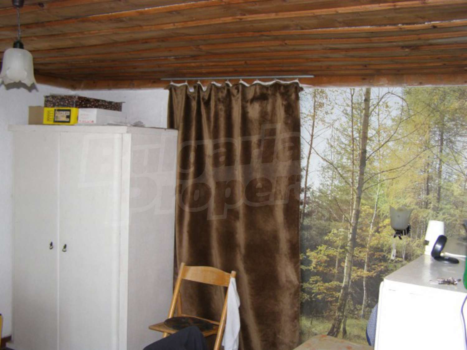 Gallery Picture 13