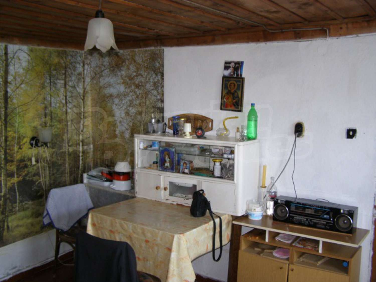 Gallery Picture 15