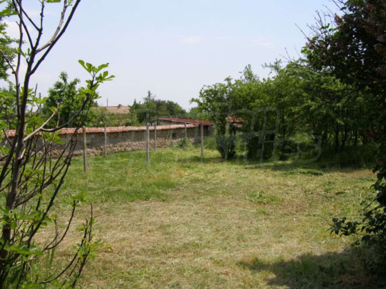 Gallery Picture 17