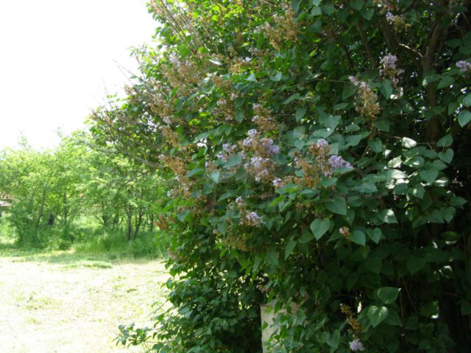 Gallery Picture 18