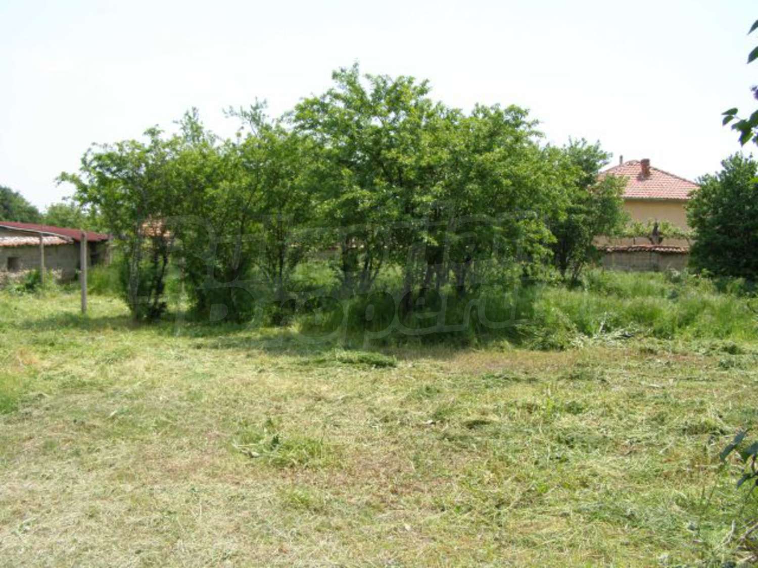 Gallery Picture 20