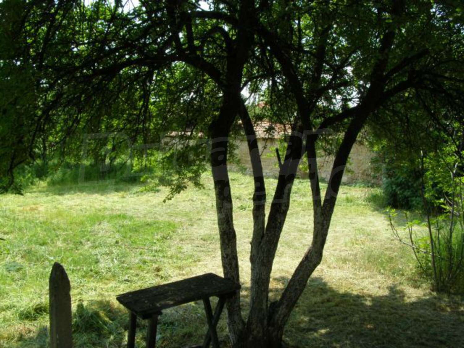 Gallery Picture 26