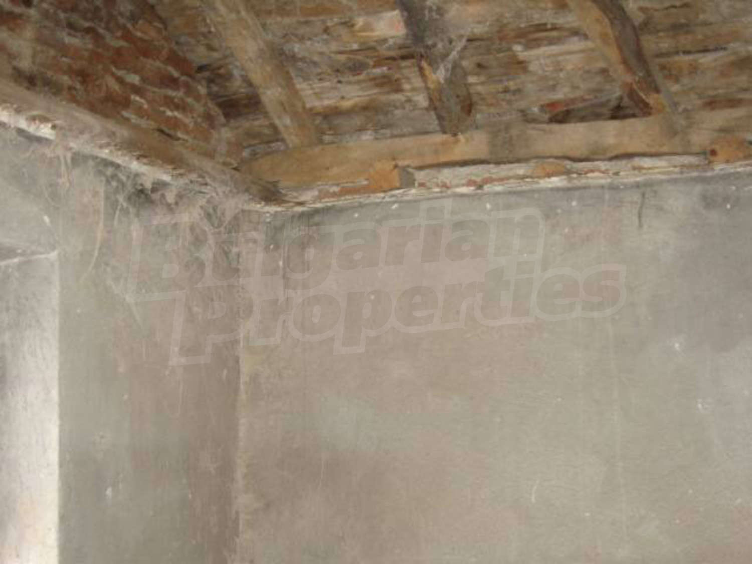 Gallery Picture 10