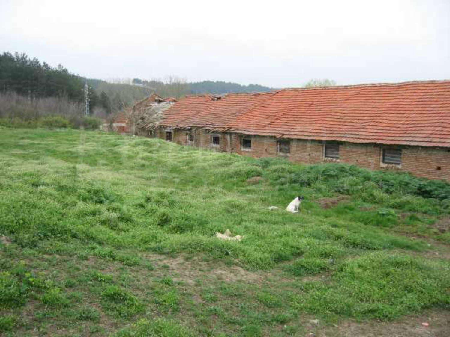 Gallery Picture 12