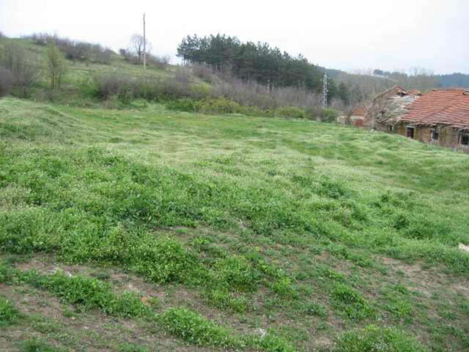 Gallery Picture 13