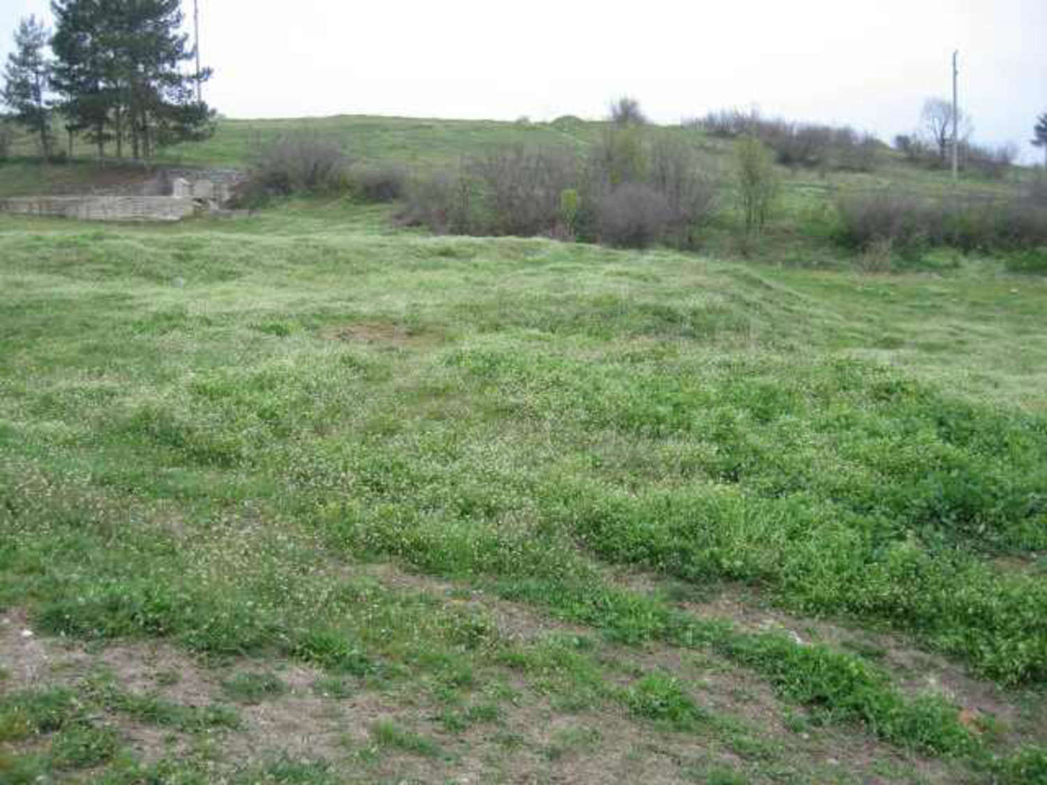 Gallery Picture 14