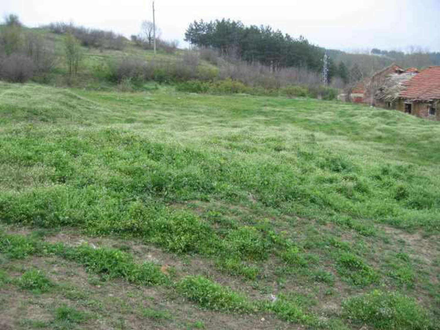 Gallery Picture 15