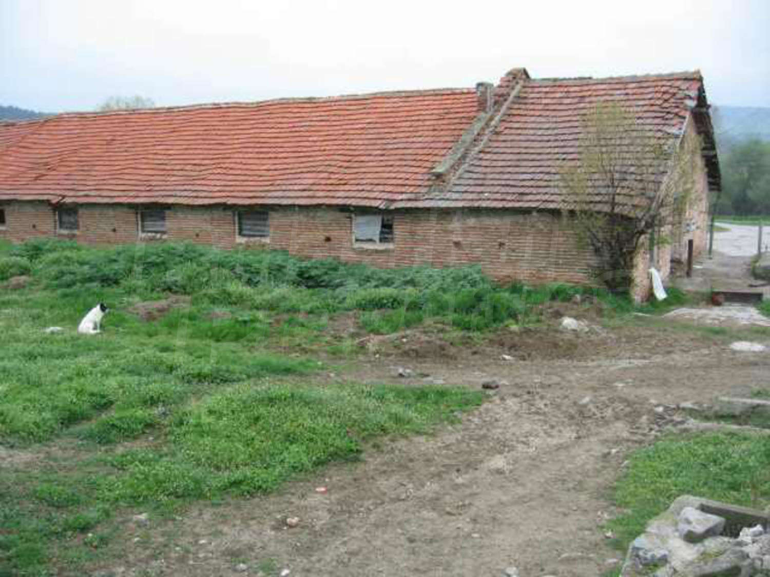 Gallery Picture 17